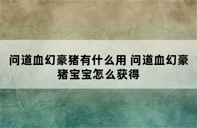 问道血幻豪猪有什么用 问道血幻豪猪宝宝怎么获得